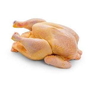 poultry