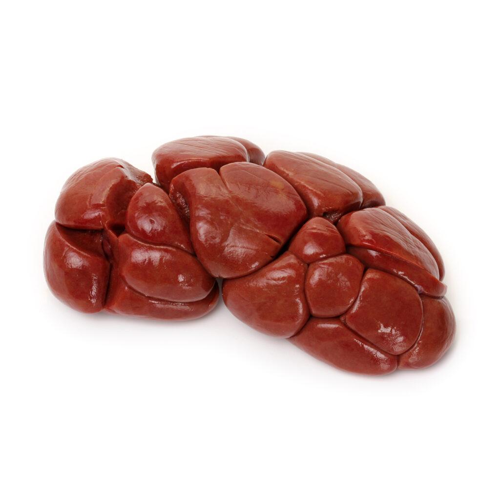 beef kidney