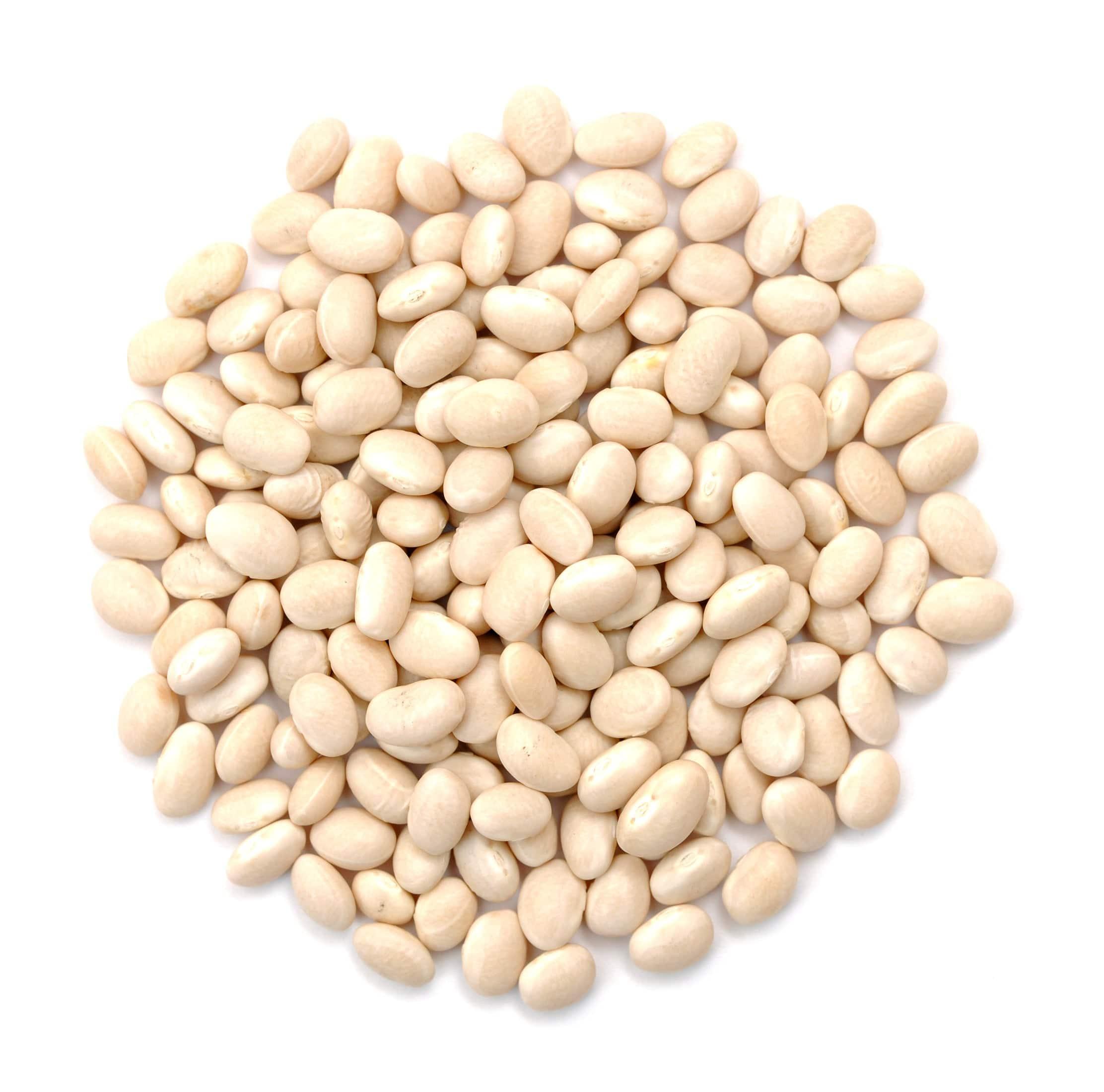 american beans