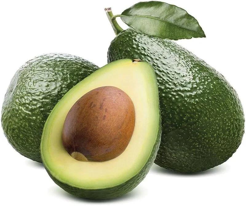 hass avocado