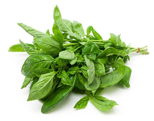 basil