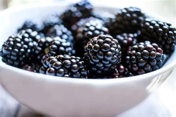 black berries