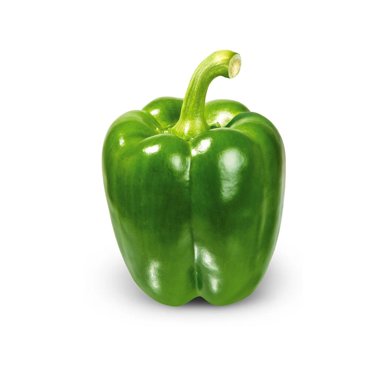 capsicum
