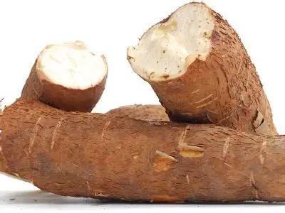 cassava