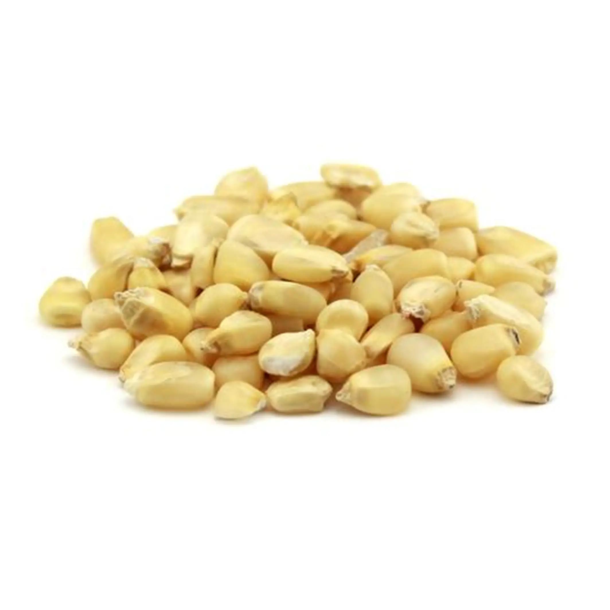 dry maize