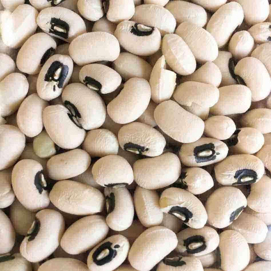 dry white kunde