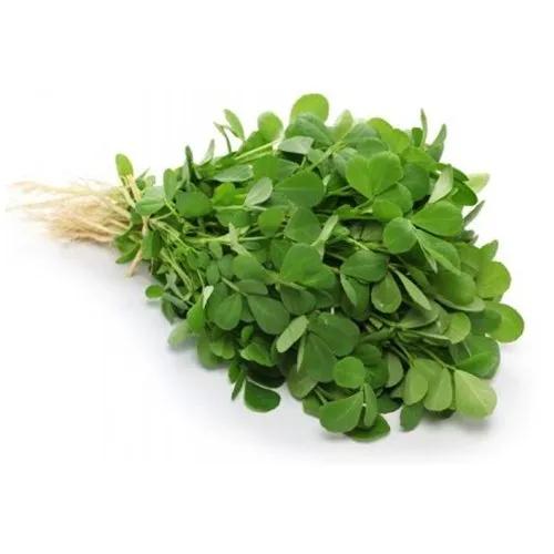 fresh methi