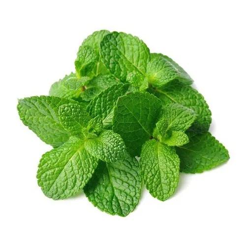 fresh mint