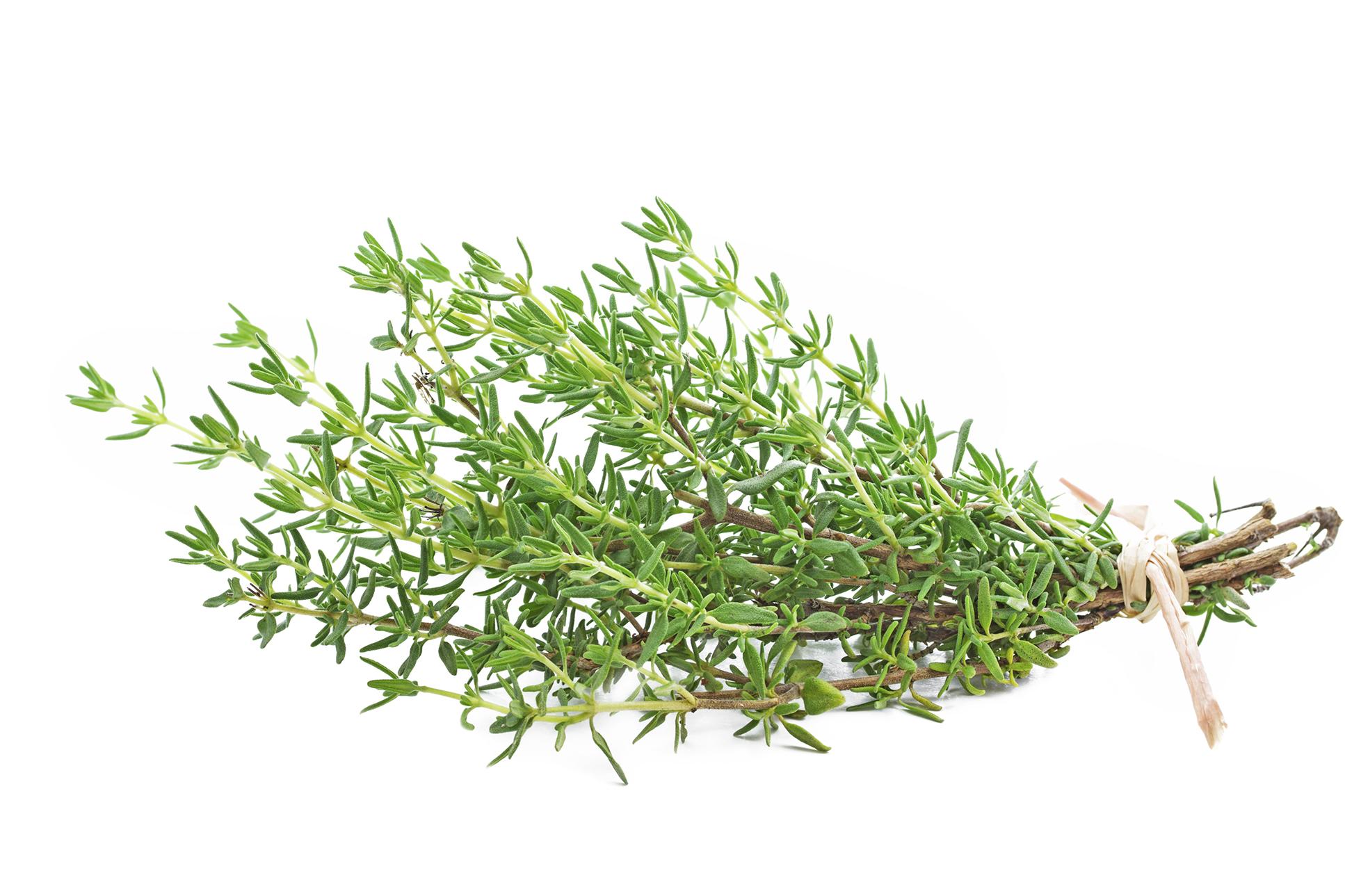 fresh thyme