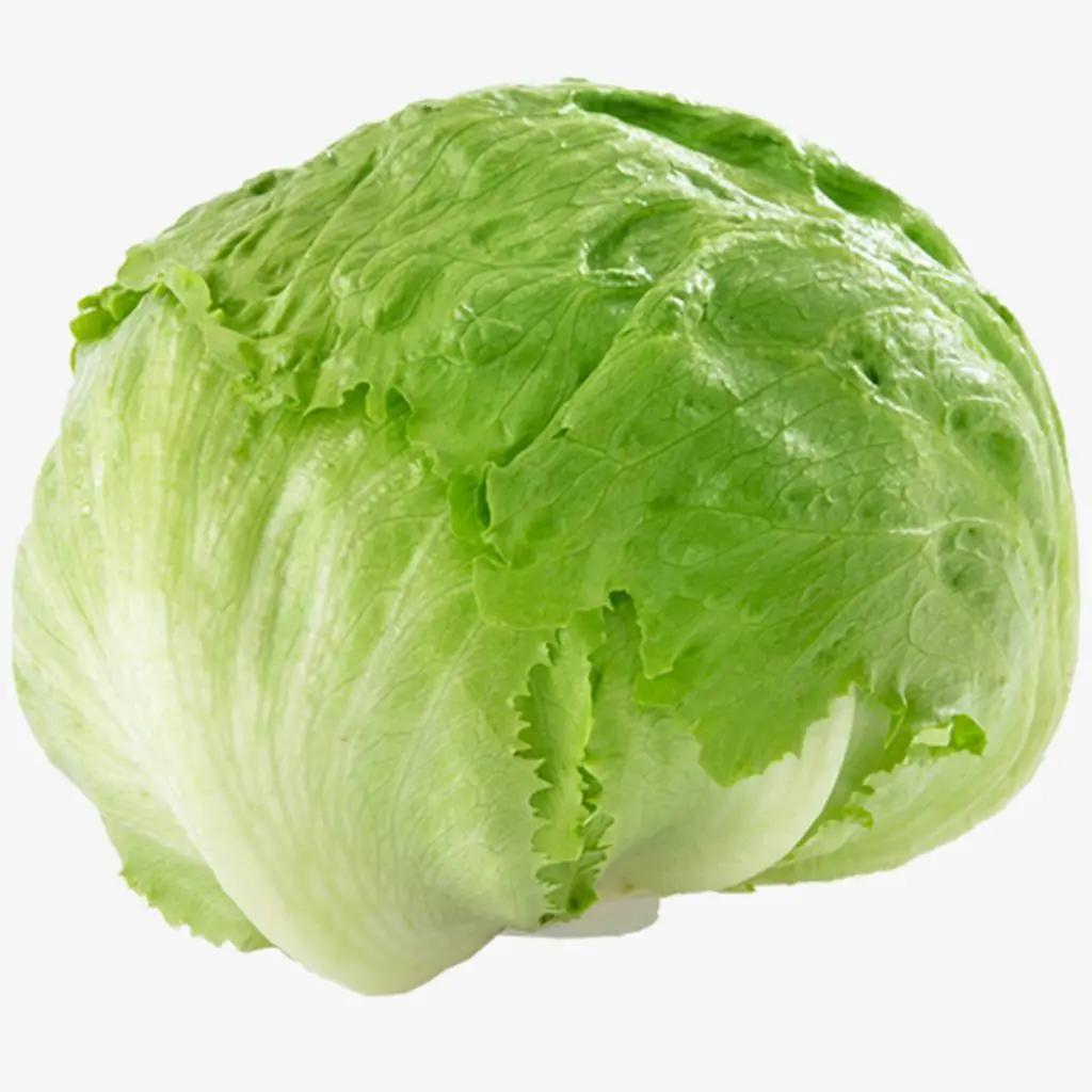 hard lettuce