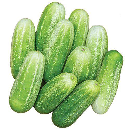 kisumu cucumber