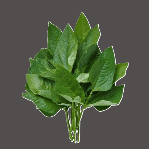 kunde