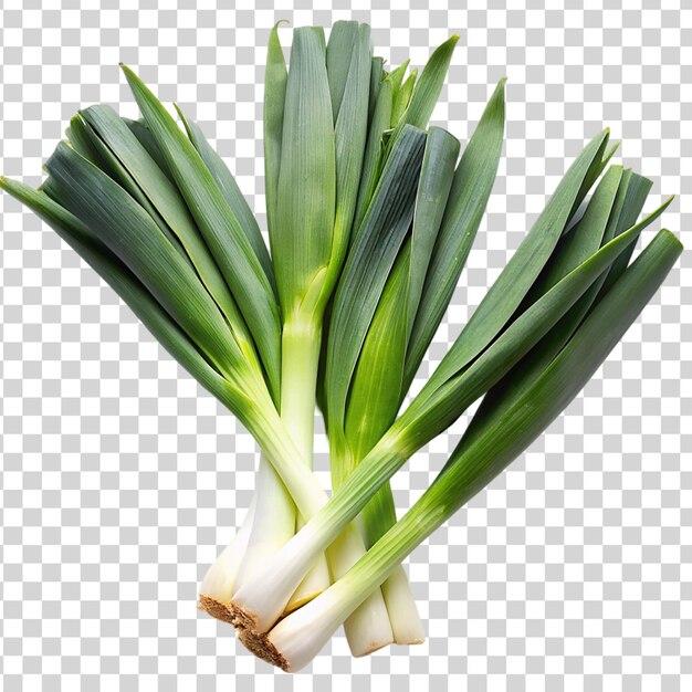 leek