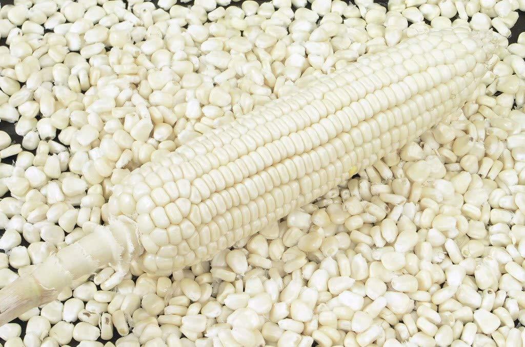 loose maize20