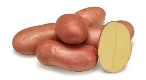 manitou potatoes