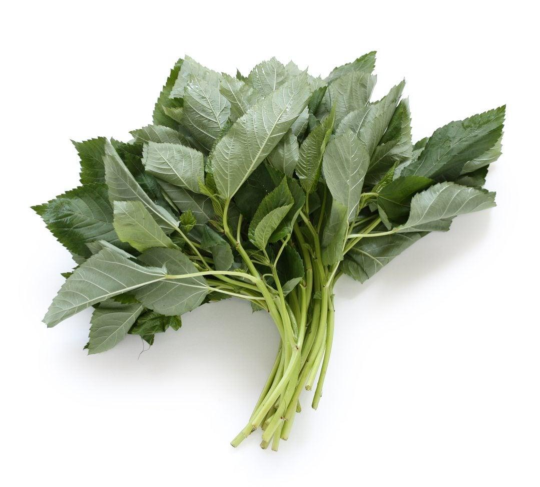 mrenda