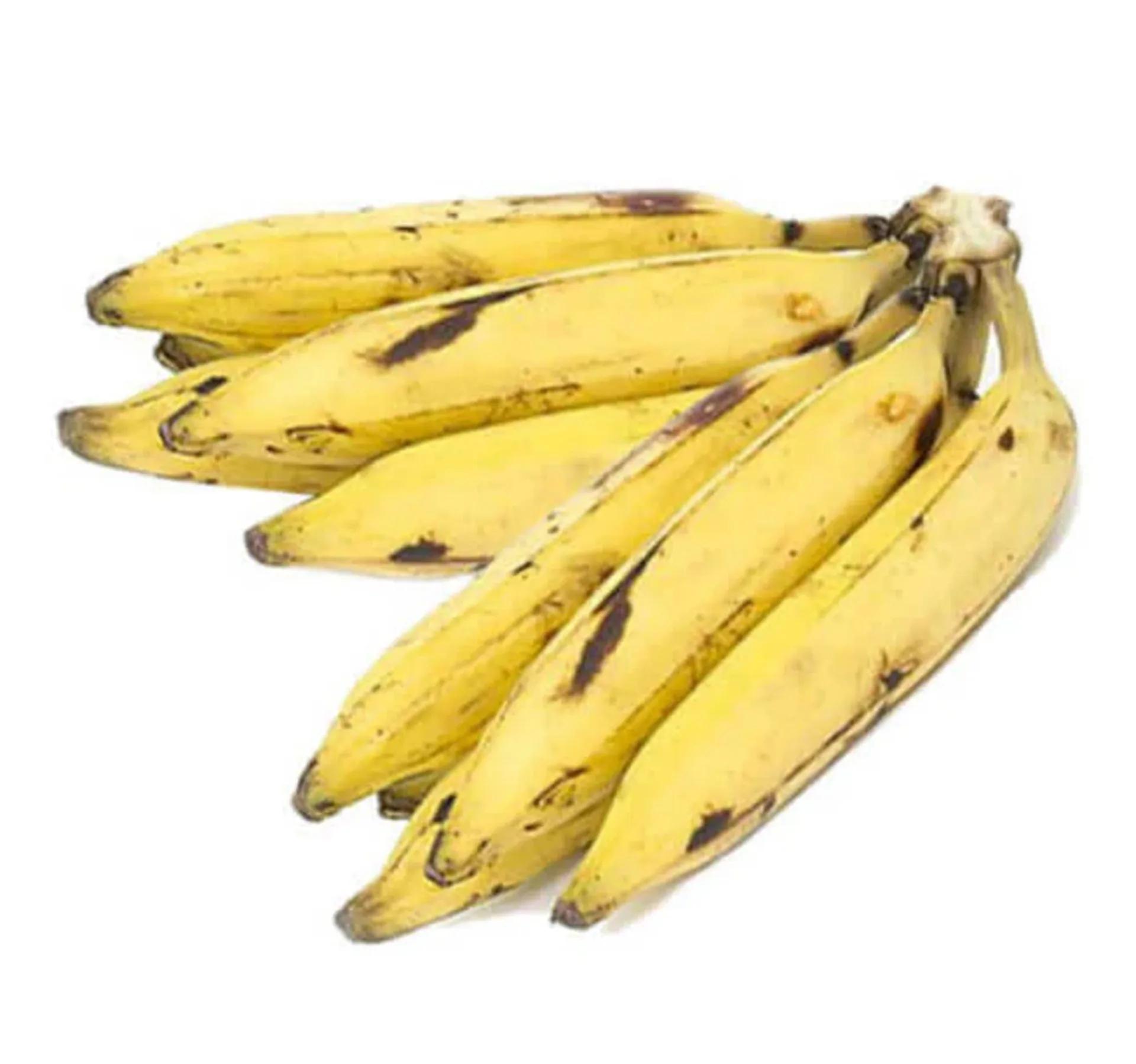plantain