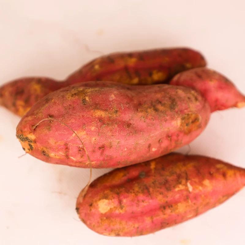 red sweet potatoes