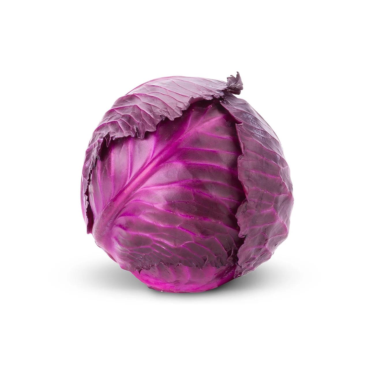 red cabbage