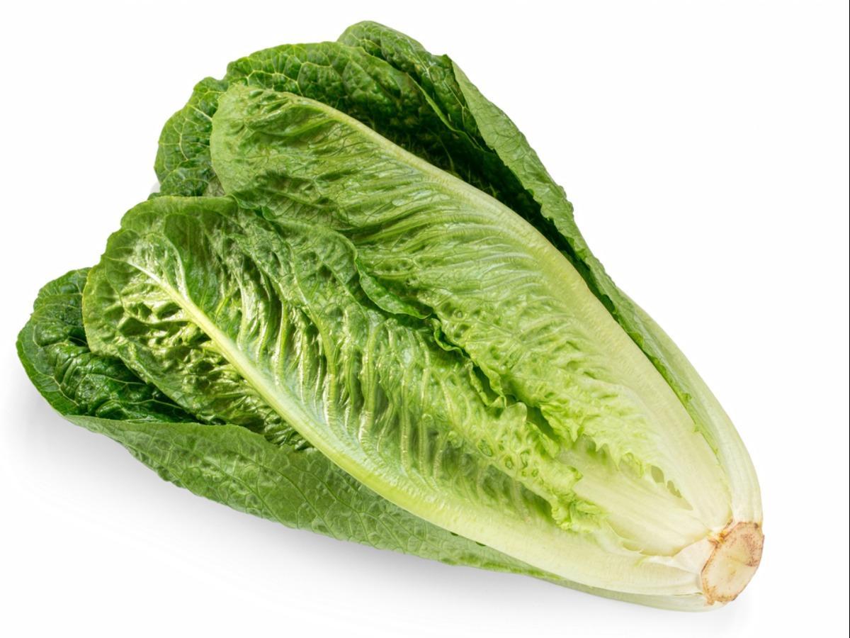 romaine lettuce