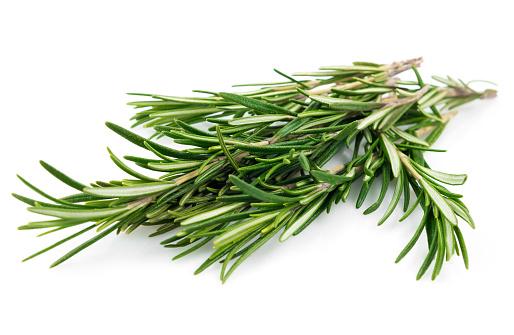 rosemary