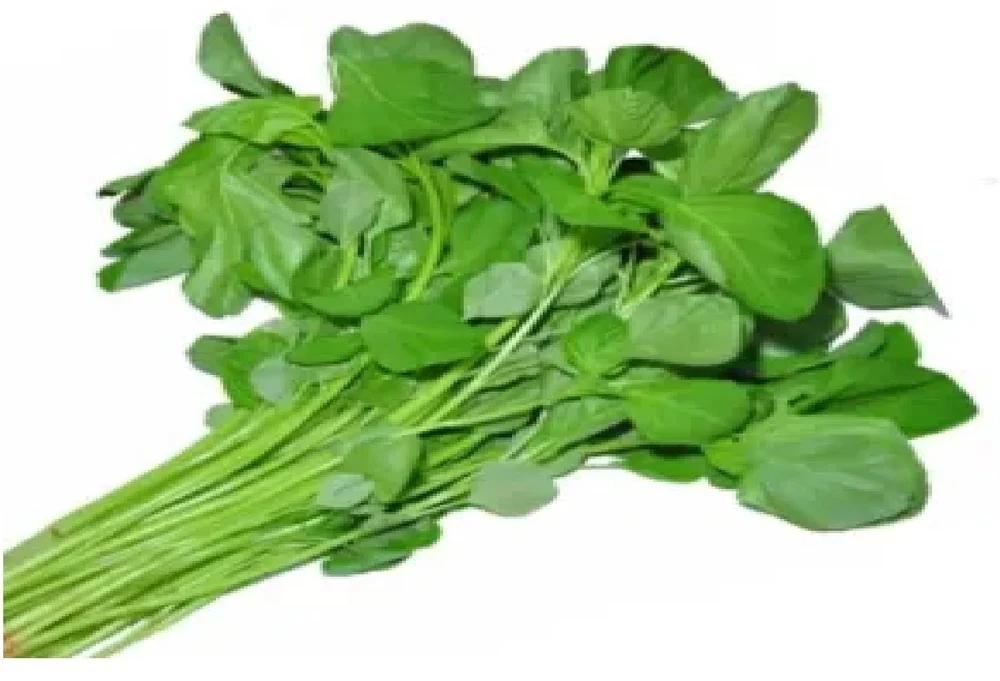 sageti