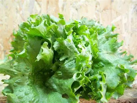 soft lettuce