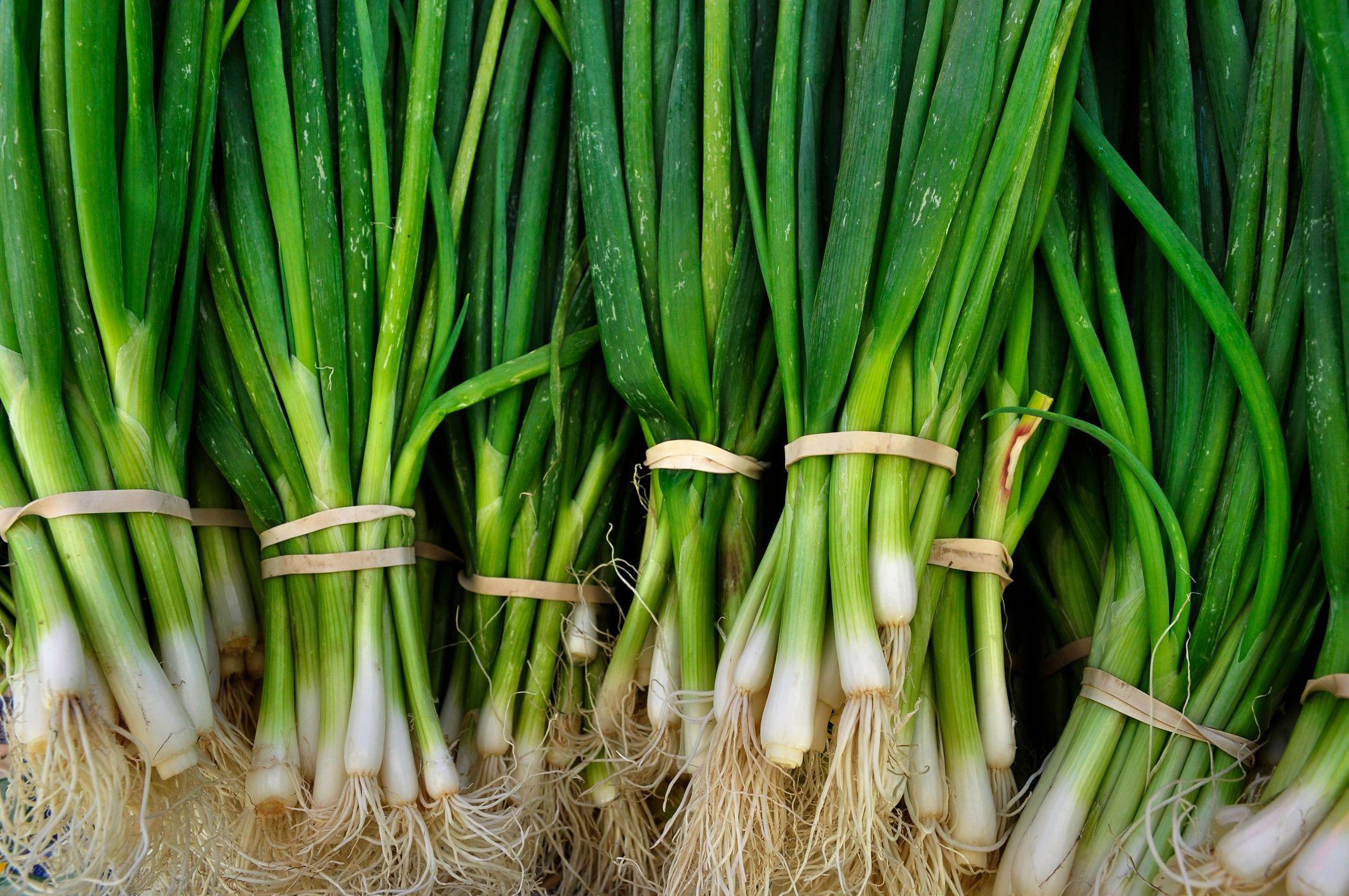 spring onions
