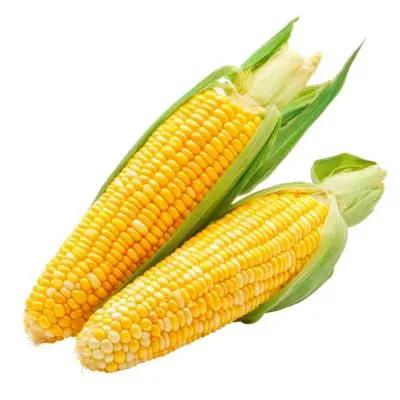 sweet corn