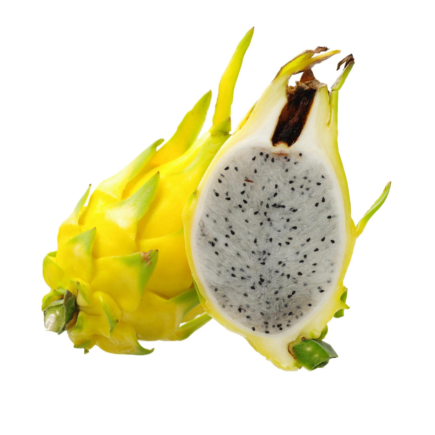 Yellow dragon