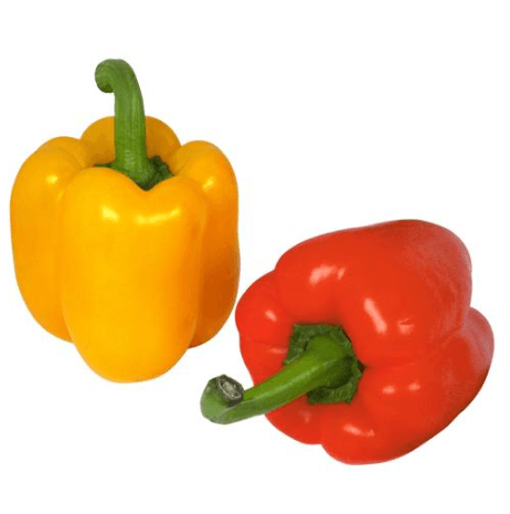 coloured sweet pepper