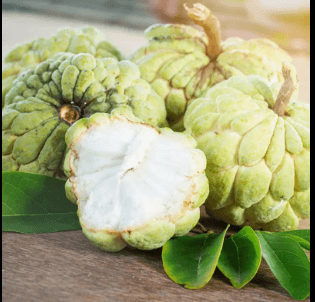 custard apple