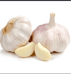 local garlic