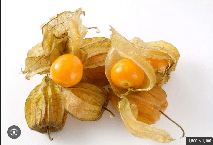 gooseberry