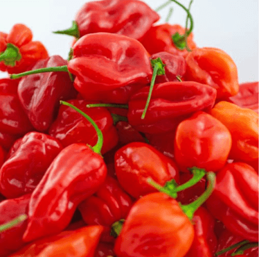 scotch bonnet/habanero