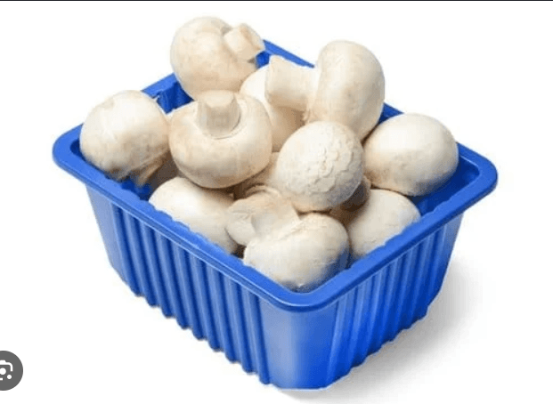 button mushroom