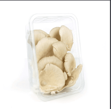 oyster mushrooms