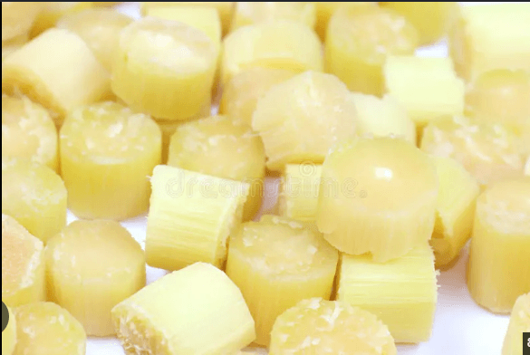 sugarcane