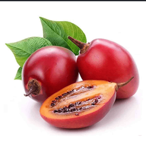 tree tomato( tamarrill0)
